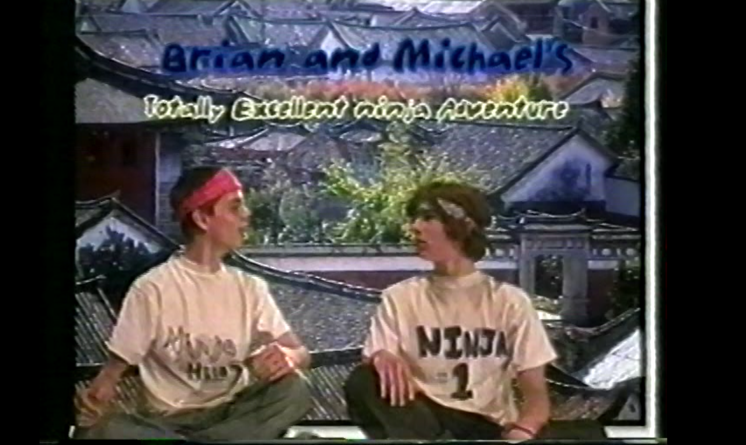 Bryan and Michael's Ninja Adventure