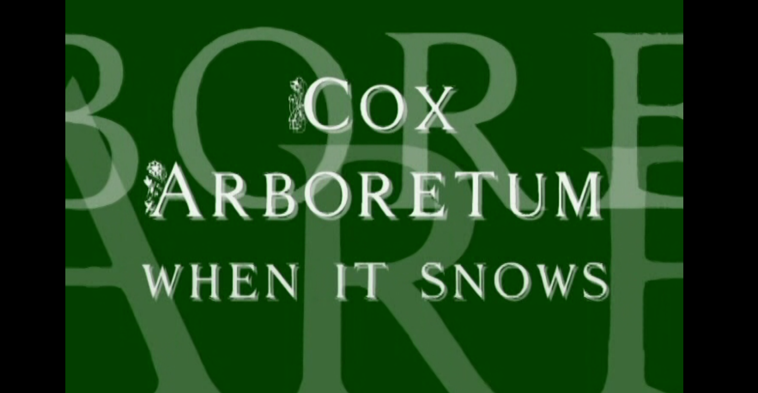 Cox Arboretum - When It Snows