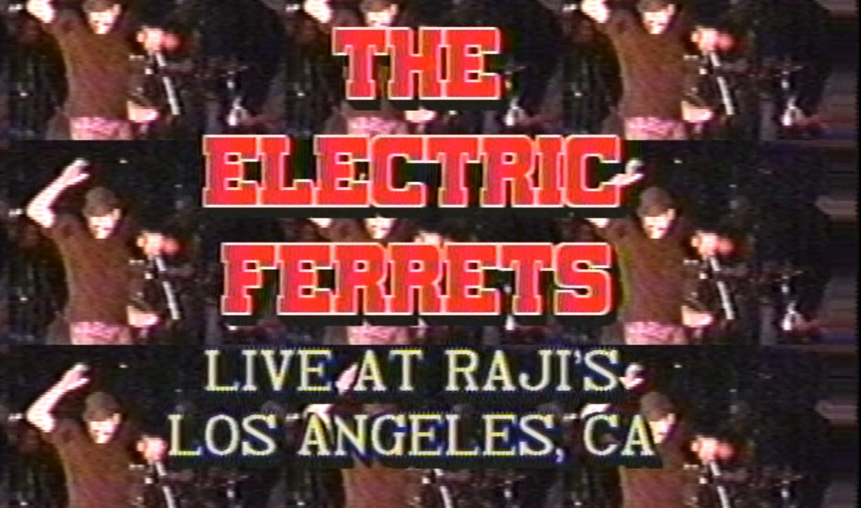 The Electric Ferrets Live