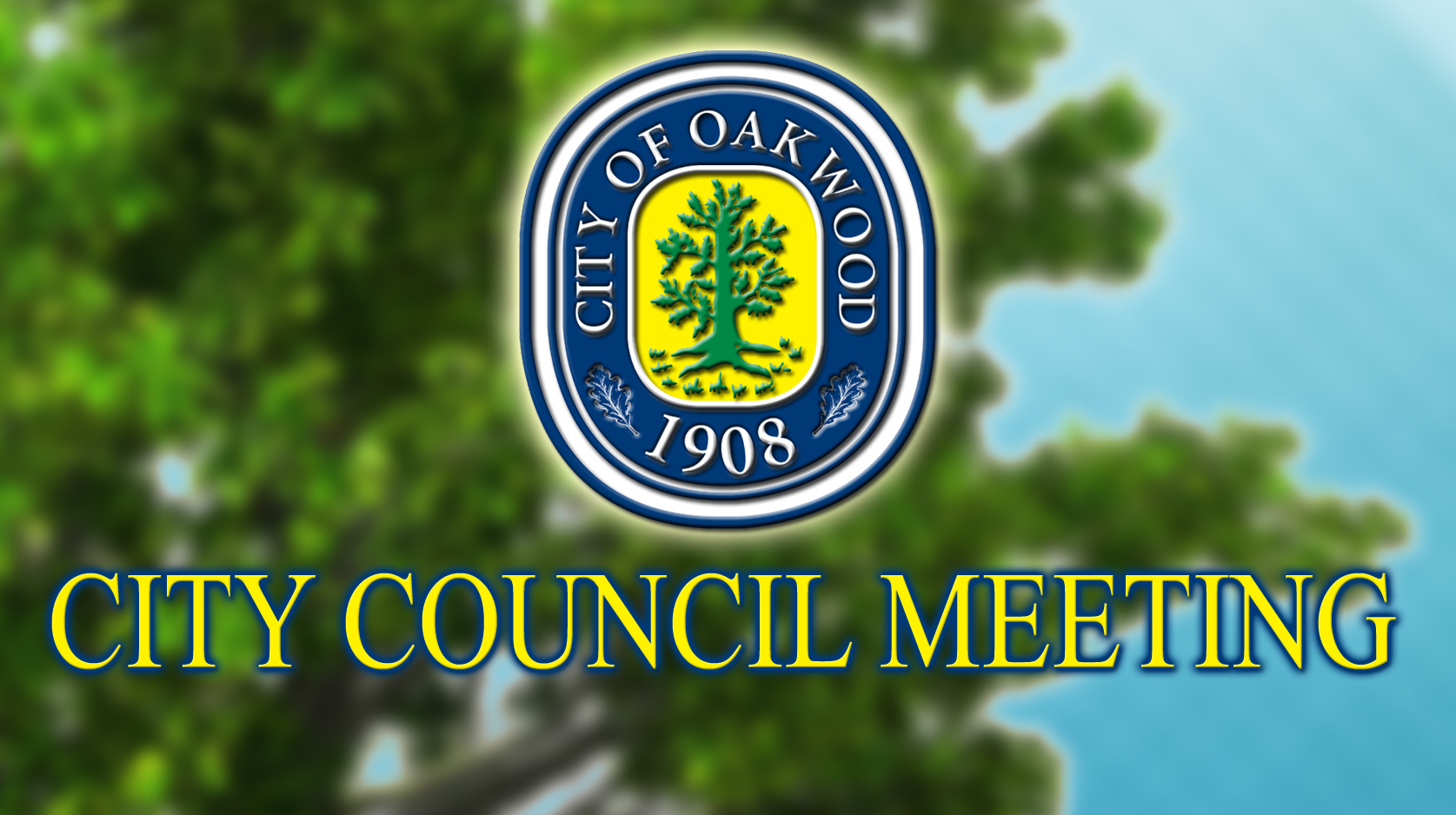 2/4/19 Oakwood City Council Meeting