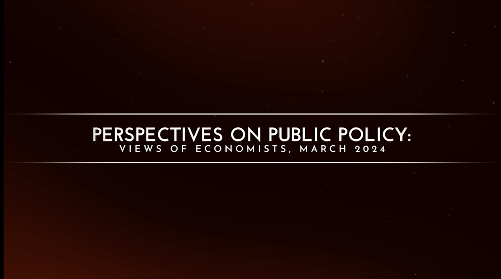 Perspectives on Public Policy: Views of Economists in 2024