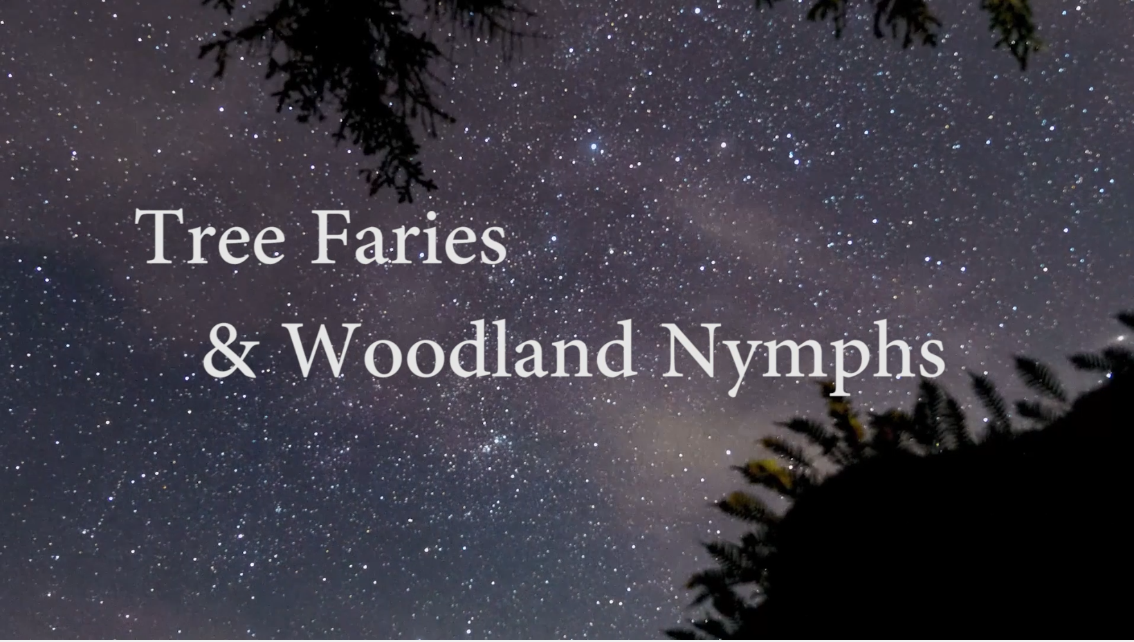 Tree Fairies and Woodland Nymphs