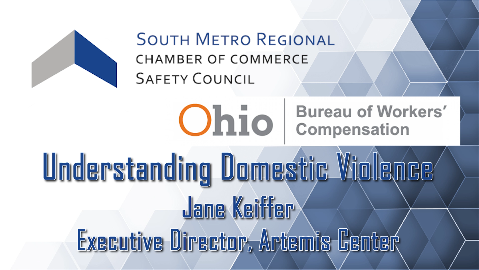 South Metro Regional Safety Council: Understanding Domestic Violence