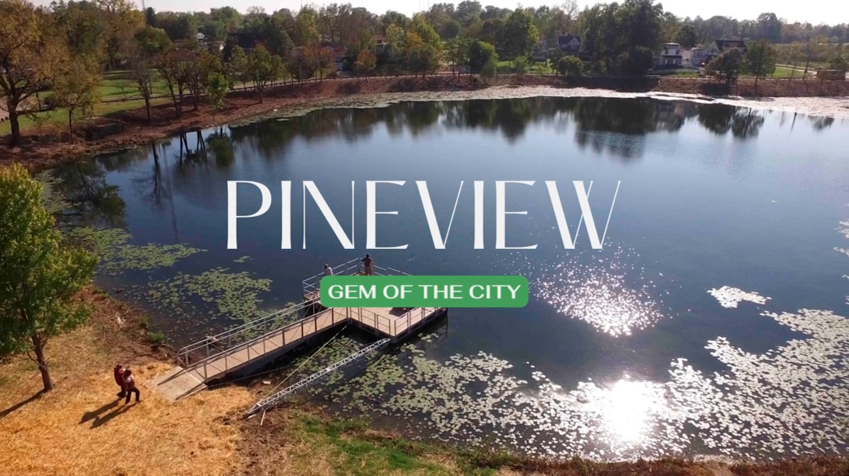 Pineview Neighborhood: History for Registration