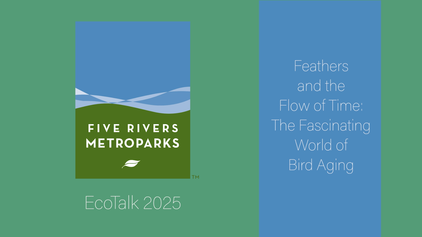 MetroParks EcoTalk 2025: Feathers and the Flow of Time