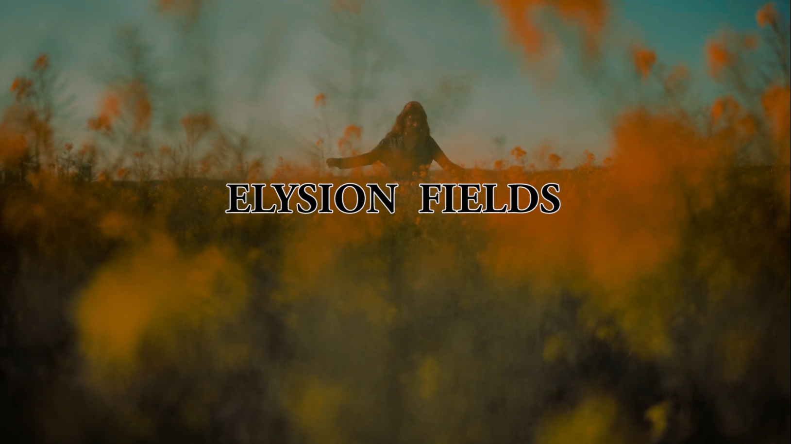 Elysion Fields - John DeBoer