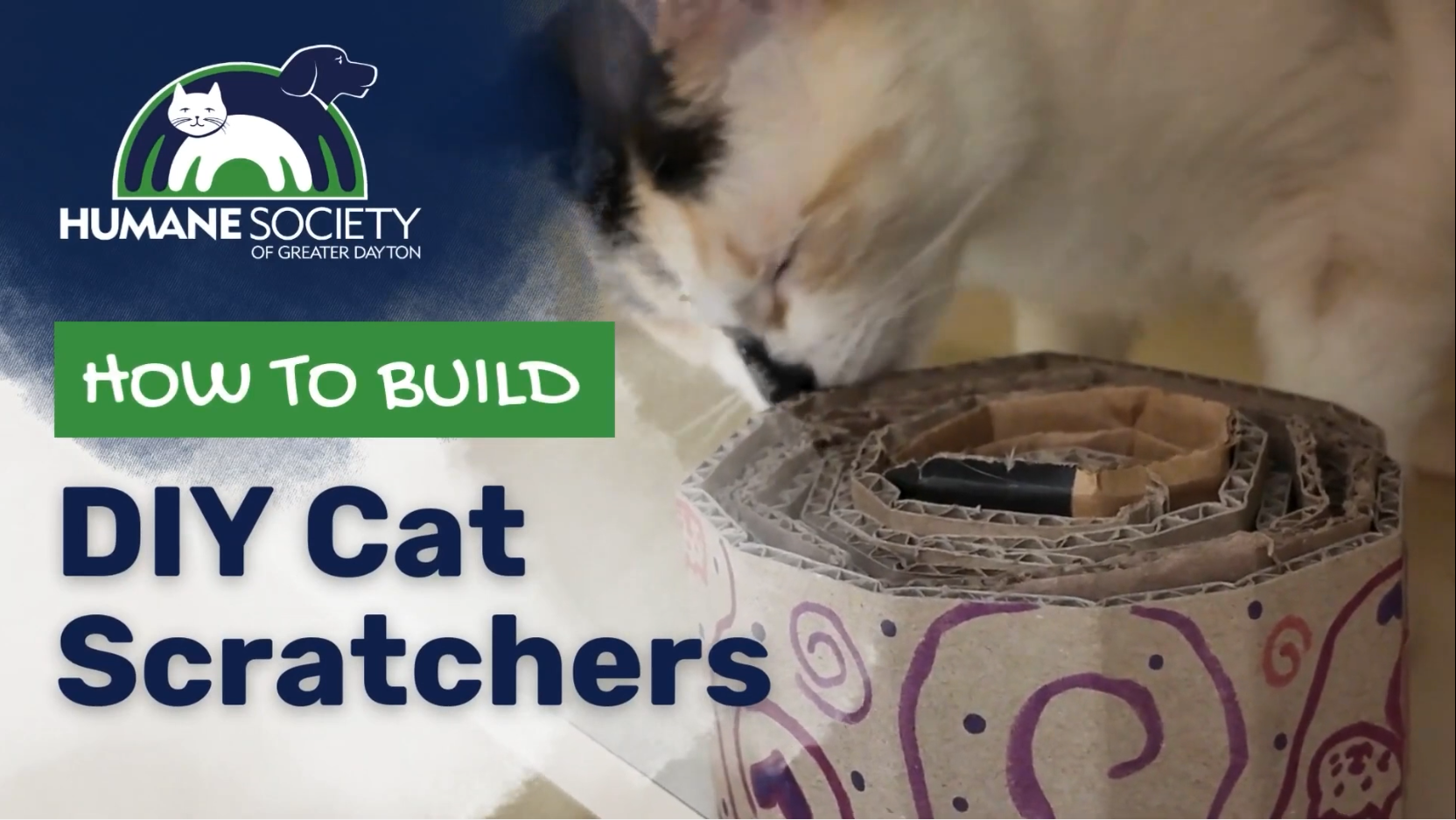 Humane Society of Greater Dayton: DIY Cat Scratchers