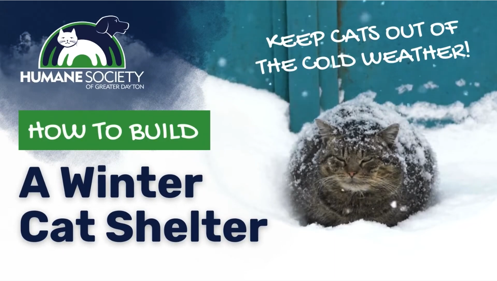 Humane Society of Greater Dayton: How to Build a DIY Winter Cat Shelter
