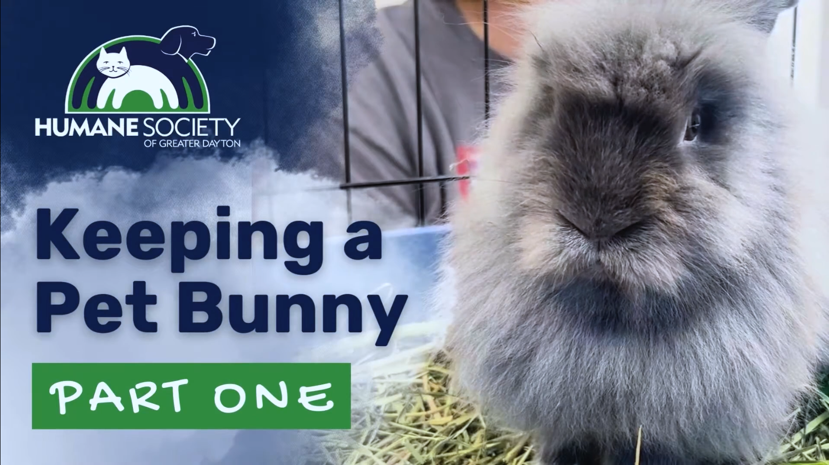 Humane Society of Greater Dayton: Guide to Keeping a Pet Bunny, Pt. 1 and 2