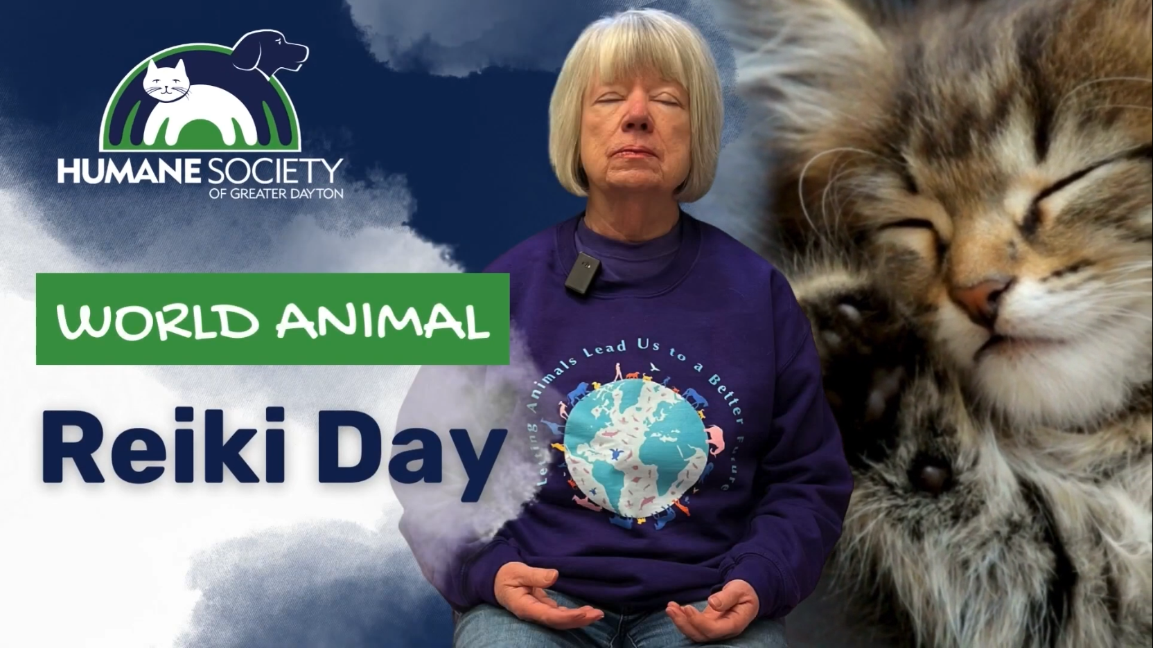 Humane Society of Greater Dayton: Animal Reiki with Shelter Animals