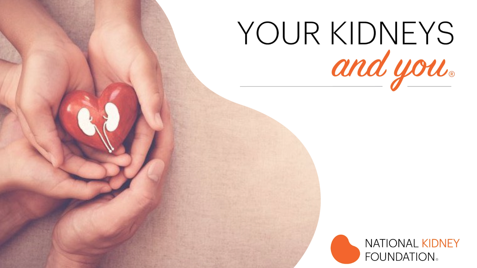 Springboro Speaker Series:  Your Kidneys and You