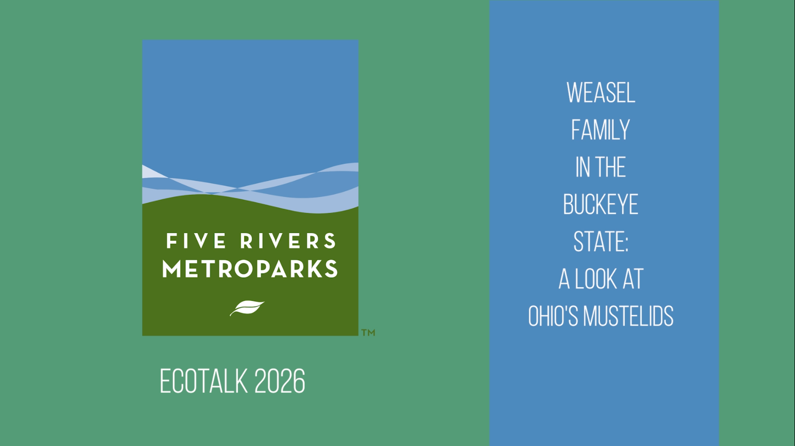 MetroParks EcoTalk 2026:  Weasel Family in the Buckeye State