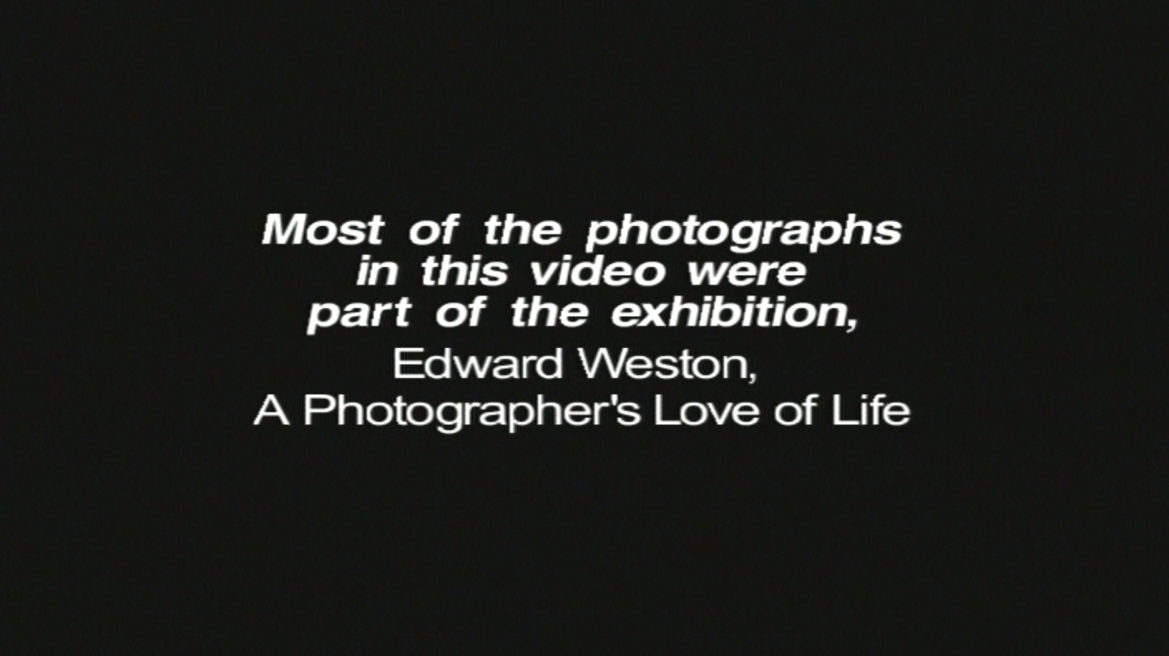 A Photographer's Love of Life
